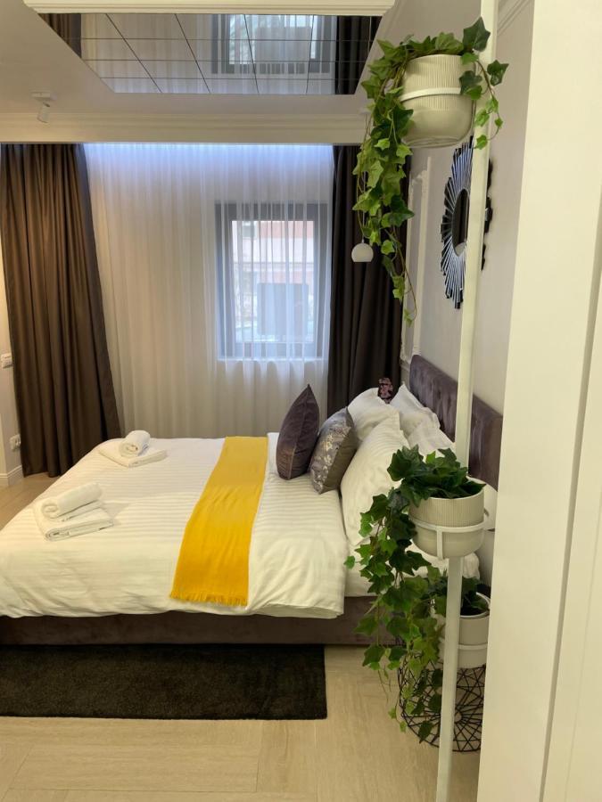 Luxury City Studios Curtea de Argeş Exteriér fotografie